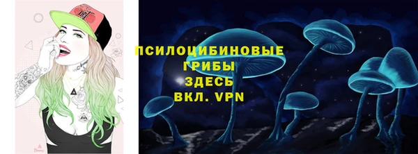 мескалин Арсеньев