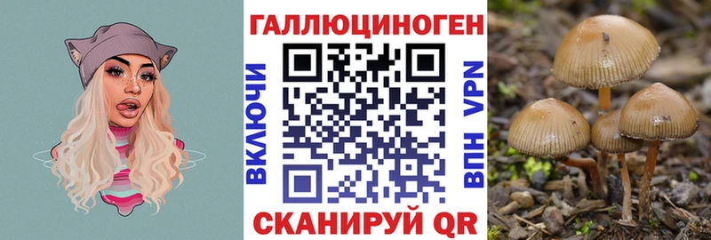 где можно купить   Среднеколымск  Псилоцибиновые грибы Cubensis 